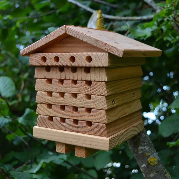 Wild Bee Hotel