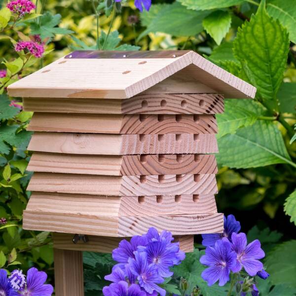 BlossomGuardian among flowering plants
