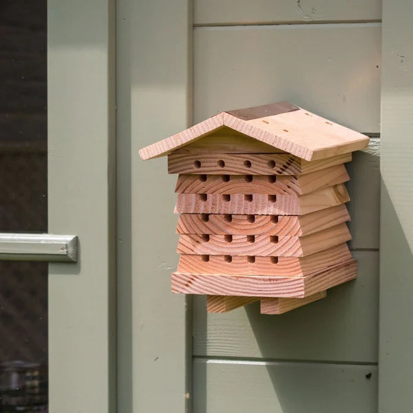 BlossomGuardian mounted securely on an exterior wall